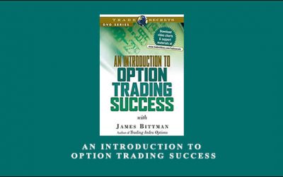 An Introduction to Option Trading Success