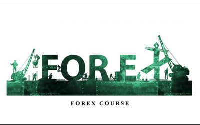 Forex Course