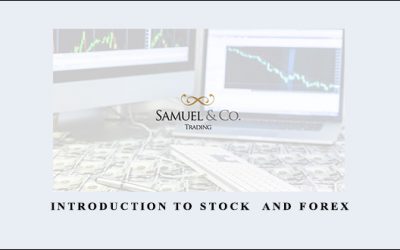Introduction to Stock & Forex
