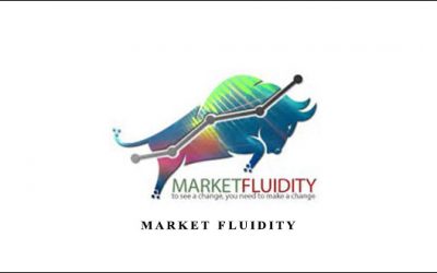 Market Fluidity