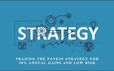 Trading the Pankin Strategy for 30% Annual Gains and Low Risk