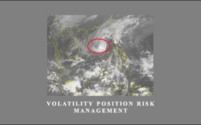 Volatility Position Risk Management
