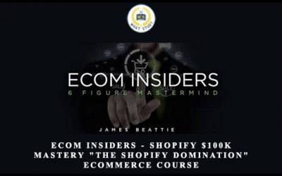 Ecom Insiders – Shopify $100k Mastery “The Shopify Domination” Ecommerce Course