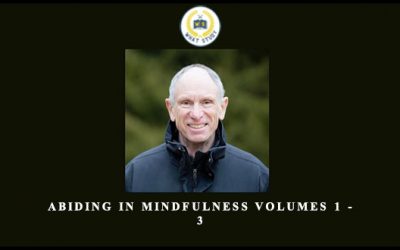Abiding in Mindfulness Volumes 1 – 3