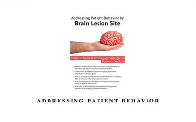 Addressing Patient Behavior with Brain Lesion Site