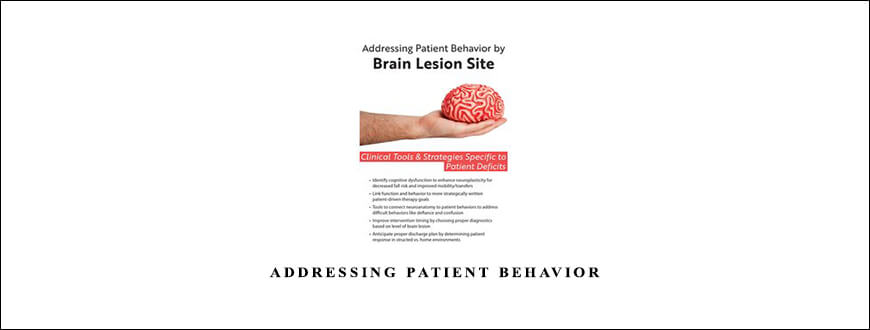 Addressing Patient Behavior by Brain Lesion Site from Jerome Quellier