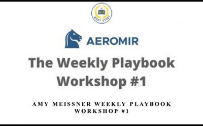 Weekly Playbook Workshop #1