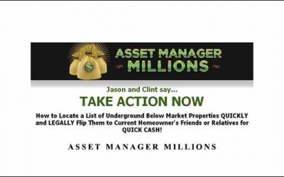 Asset Manager Millions