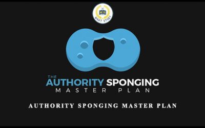 Authority Sponging Master Plan