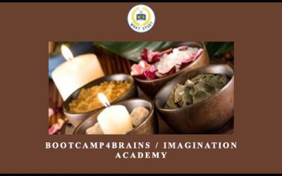 Bootcamp4Brains / Imagination Academy