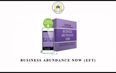 Business Abundance Now (EFT)