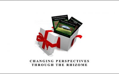 Changing Perspectives through the Rhizome