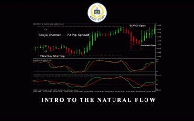 Forex Trading Advice & Intro to The Natural Flow