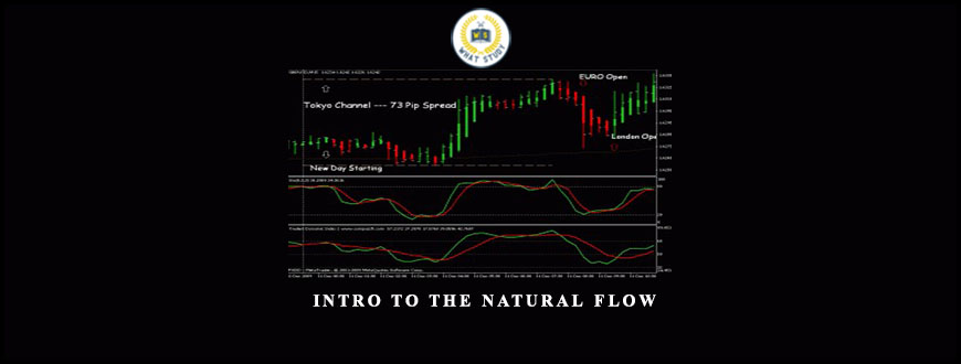 Craig Harris Forex Trading Advice & Intro to The Natural Flow