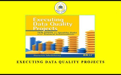 Executing Data Quality Projects