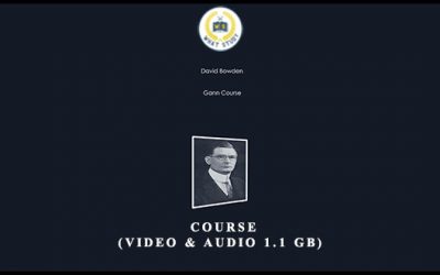 Gann Course (Video & Audio 1.1 GB)