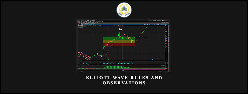 Elliott Wave Rules and Observations from Alphashark