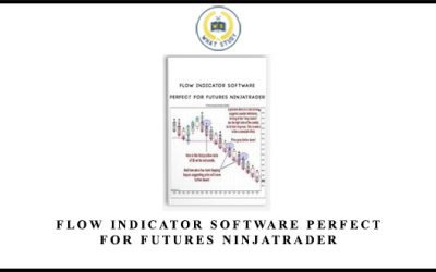 Flow Indicator Software Perfect for Futures