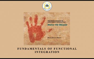 Fundamentals of Functional Integration