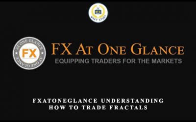 Understanding How To Trade Fractals