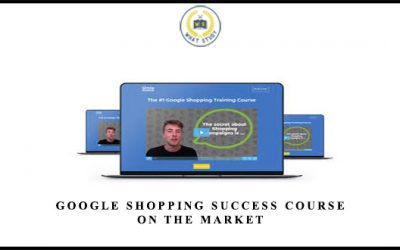 Google Shopping Success Course On The Market