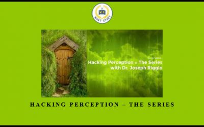 Hacking Perception – The Series