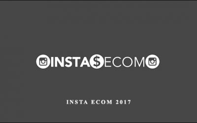 Insta Ecom 2017
