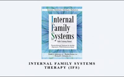 Internal Family Systems Therapy (IFS) by Frank G. Anderson