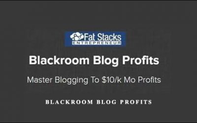 Blackroom Blog Profits