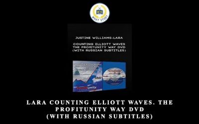 Counting Elliott Waves. The Profitunity Way DVD (with Russian subtitles)