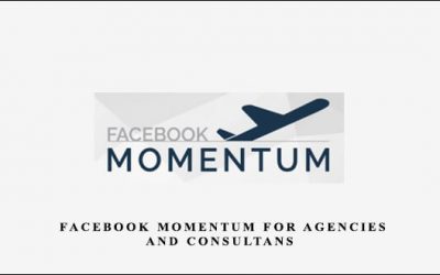 Facebook Momentum for Agencies and Consultans