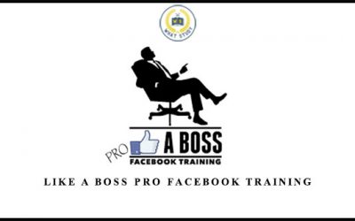 LIKE A Boss PRO Facebook Training