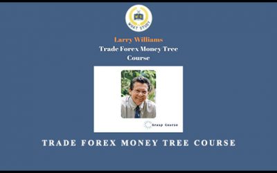 Trade Forex Money Tree Course