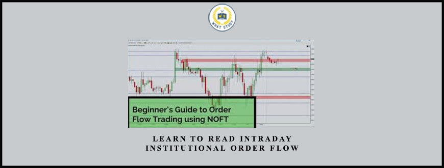 Learn To Read Intraday Institutional Order Flow