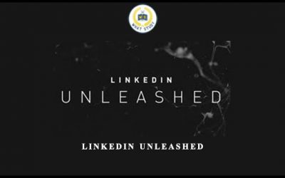 LinkedIn Unleashed