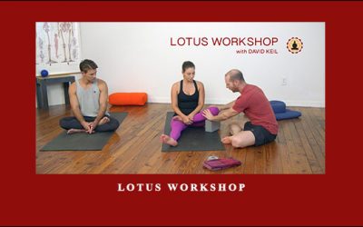 Lotus workshop