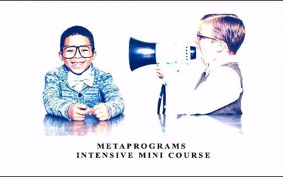 MetaPrograms Intensive Mini Course