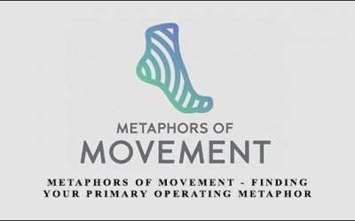 Metaphors of Movement – finding your primary operating metaphor