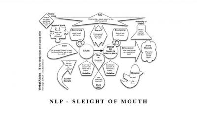 NLP – Sleight of Mouth