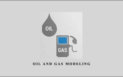 Oil and Gas Modeling