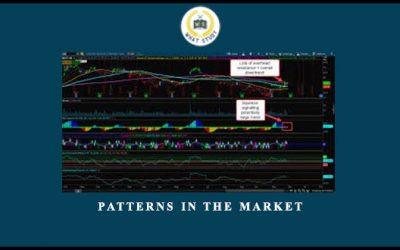 Patterns in the Market