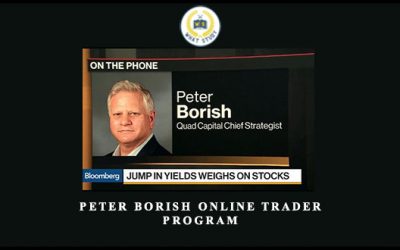 Online Trader Program