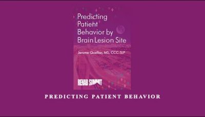 Predicting Patient Behavior by Brain Lesion Site by Jerome Quellier