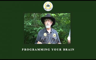 Programming Your Brain