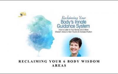 Reclaiming Your 6 Body Wisdom Areas