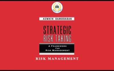 Risk Management by Aswath Damodaran