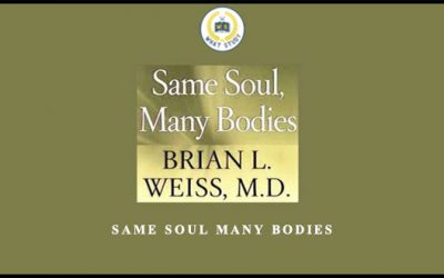Same Soul Many Bodies