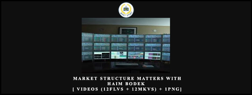 Sang Lucci Market Structure Matters with Haim Bodek [ Videos (12FLVs + 12MKVs) + 1PNG]