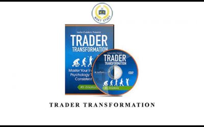 trader transformation