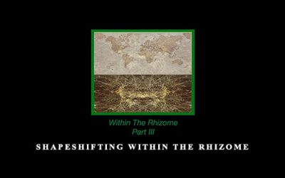 Shapeshifting within The Rhizome